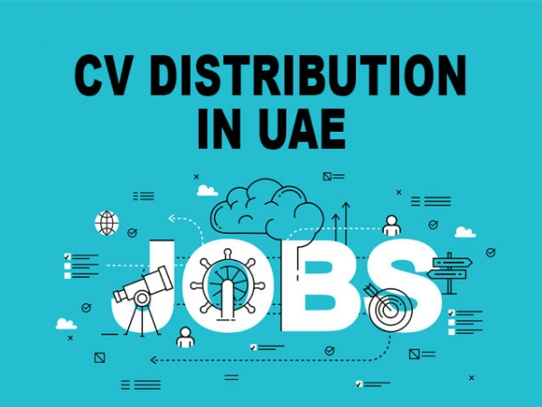 resume distribution services in uae